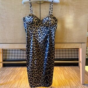 Leopard Print Women's Dress
